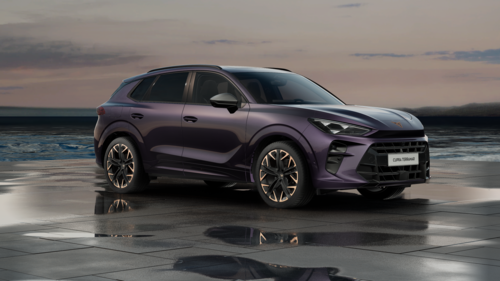 CUPRA Terramar Terramar Advantage Edition DCC Copper 2025 2.0 TSI