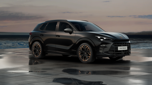 CUPRA Terramar Terramar Advantage Edition DCC 2025 2.0 TSI