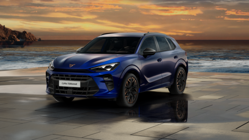 CUPRA Terramar Terramar Advantage Edition 2025 2.0 TSI