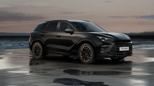 CUPRA Terramar Terramar 2025 2.0 TSI