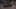 CUPRA Leon Sportstourer Leon 2025 1.5 eTSI