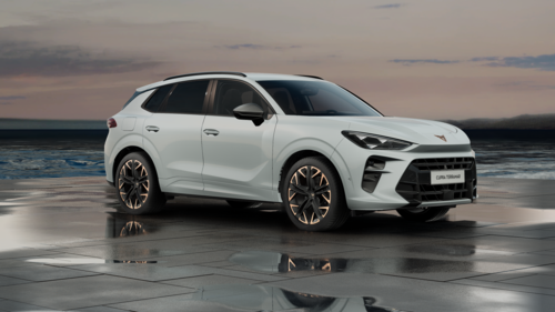 CUPRA Terramar Terramar Advantage Edition Copper 2025 2.0 TSI