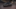 CUPRA Leon Leon 2025 1.5 eTSI