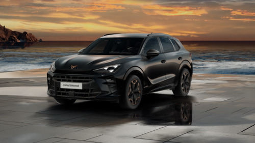 CUPRA Terramar Terramar 2026 2.0 TSI