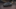 CUPRA Leon Leon 2025 1.5 TSI