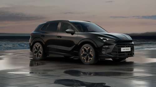 CUPRA Terramar Terramar 2025 2.0 TSI