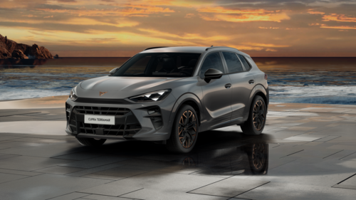 CUPRA Terramar Terramar Advantage Edition Copper 2025 2.0 TSI
