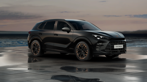 CUPRA Terramar Terramar Advantage Edition 2026 2.0 TSI