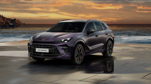 CUPRA Terramar Terramar 2025 1.5 eTSI