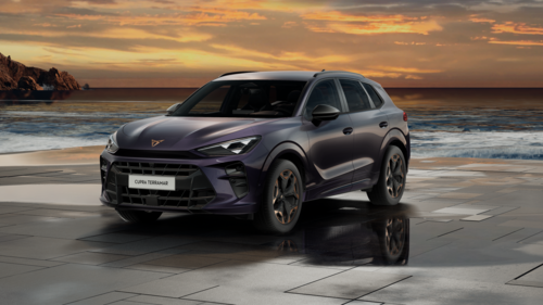 CUPRA Terramar Terramar 2025 1.5 eTSI