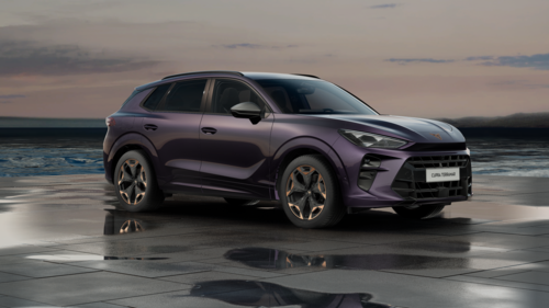 CUPRA Terramar Terramar 2025 2.0 TSI