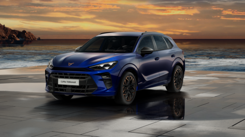 CUPRA Terramar Terramar Advantage Edition 2025 2.0 TSI