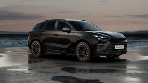 CUPRA Terramar Terramar Advantage Edition DCC 2025 2.0 TSI