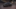CUPRA Leon Leon 2025 1.5 TSI