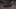CUPRA Leon Leon VZ 2025 2.0 TSI