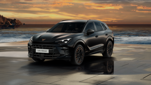 CUPRA Terramar Terramar Advantage Edition 2025 2.0 TSI
