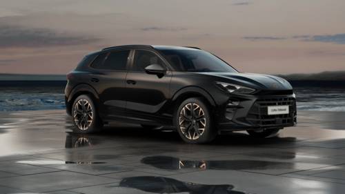 CUPRA Terramar Terramar Advantage Edition DCC Copper 2025 2.0 TSI