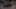 CUPRA Leon Leon 2025 1.5 eTSI