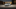 CUPRA Born e-Boost Adventage Edition 2024 59 kWh