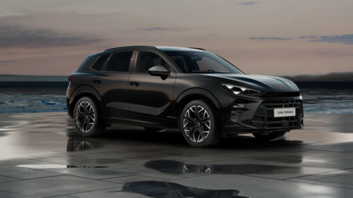 CUPRA Terramar Terramar Advantage Edition 2025 2.0 TSI