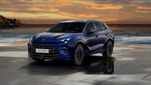 CUPRA Terramar Terramar Advantage Edition 2025 2.0 TSI