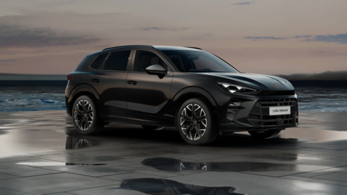CUPRA Terramar Terramar Advantage Edition 2025 2.0 TSI