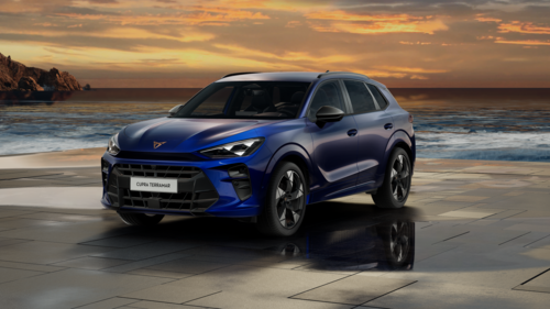 CUPRA Terramar Terramar Advantage Edition DCC 2025 1.5 eTSI