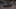 CUPRA Leon Leon 2025 1.5 TSI